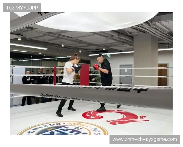 国际拳击裁判评分复核委员会第107版判例发布，拳击裁判等级划分
