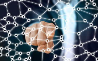 爱游戏体育娱乐-中国篮球职业联赛市场竞争策略分析，我国篮球职业联赛